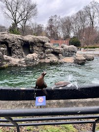 California Sea Lion Pool photo 4