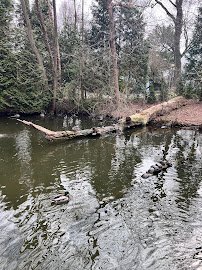 California Sea Lion Pool photo 5
