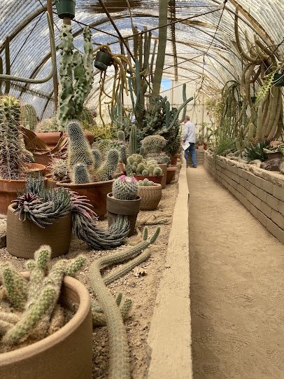 Moorten Botanical Garden