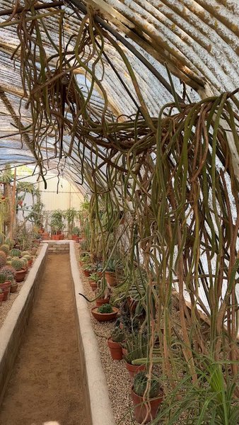 Moorten Botanical Garden photo 2
