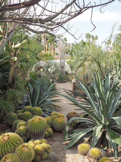 Moorten Botanical Garden photo 3