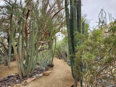 Moorten Botanical Garden photo 4