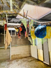 Goldman Bat Exhibit