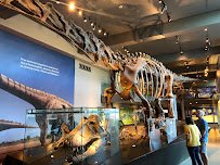 Natural History Museum of Los Angeles County photo 4