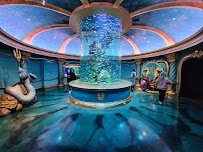 Aquarium at the Boardwalk photo 5