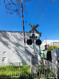 Signal Garden photo 3