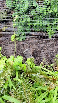 Cascades Raptor Center photo 2