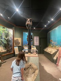 McClung Museum of Natural History & Culture photo 4