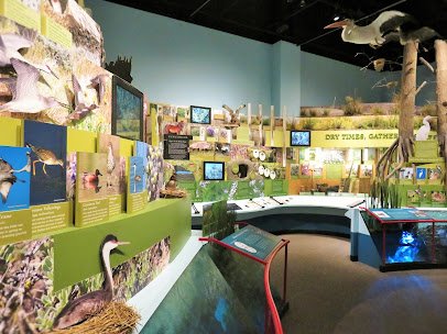 REACH Museum photo 5