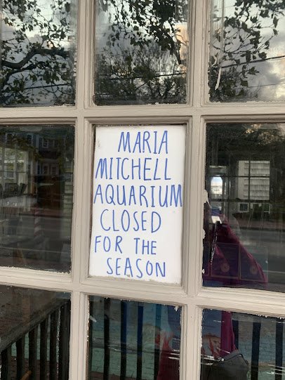 Maria Mitchell Aquarium & Sea Shop photo 6