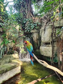 Moody Gardens Attractions Theme Park photo 4