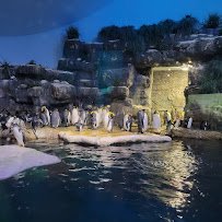 Moody Gardens Attractions Theme Park photo 6