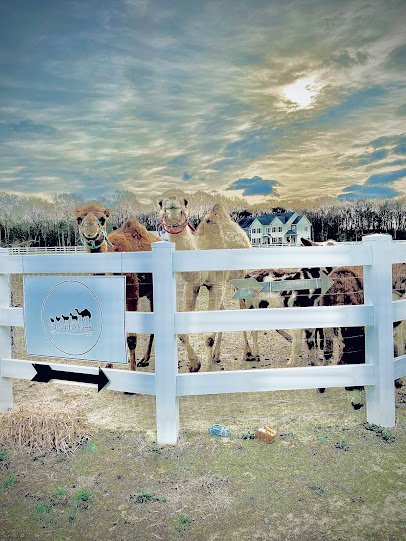 The Little Farm DE