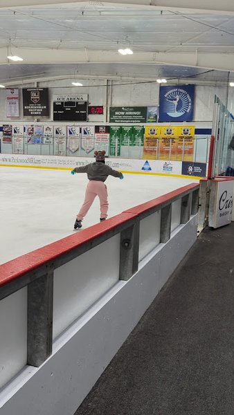 Birmingham Ice Arena photo 2