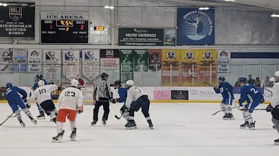 Birmingham Ice Arena photo 3