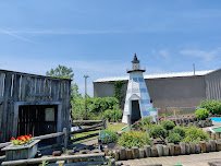 Fantasy Island Mini Golf photo 4