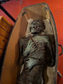 The Oddities Museum, Inc photo 4