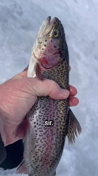 Water Parks of Minnesota photo 5