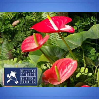 Western Colorado Botanical Gardens photo 2