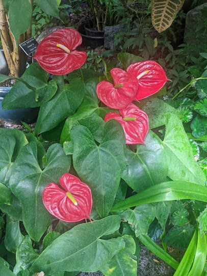 Western Colorado Botanical Gardens photo 4