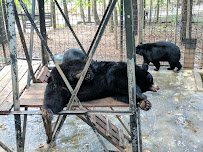 Yellow River Wildlife Sanctuary