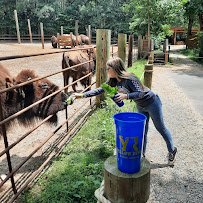 Yellow River Wildlife Sanctuary photo 3