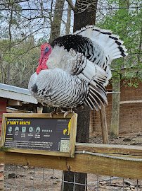 Yellow River Wildlife Sanctuary photo 4