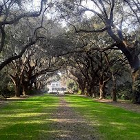 Animal Forest photo 3