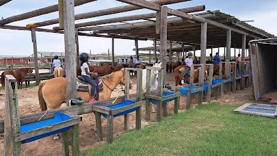 South Padre Island Adventure Park photo 4