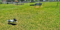 East Park Miniature Golf photo 5