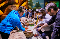 SEA LIFE New Jersey Aquarium