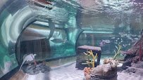 SEA LIFE New Jersey Aquarium photo 2