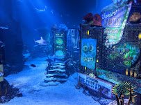 SEA LIFE New Jersey Aquarium photo 3