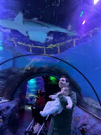 SEA LIFE New Jersey Aquarium photo 4