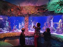 SEA LIFE New Jersey Aquarium photo 5
