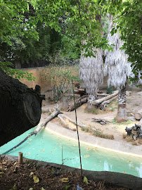 LA Zoo: Neil Papiano Play Park photo 4