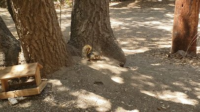 Oak Canyon Nature Center photo 2