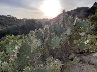 Oak Canyon Nature Center photo 6
