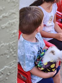 Cock-A-Doodle-Doo Petting Zoo photo 4