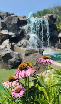 Sandbar Mini Golf photo 2