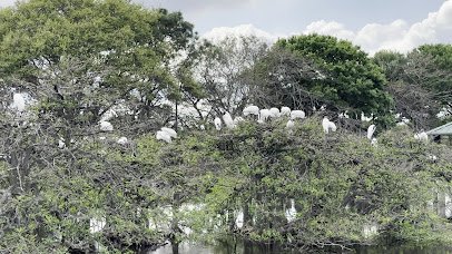 Green Cay Nature Center & Wetlands photo 2