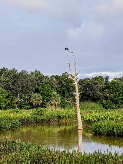 Green Cay Nature Center & Wetlands photo 5