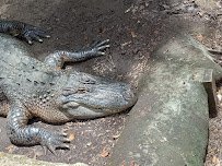 The Texas Zoo