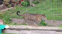 The Texas Zoo photo 2