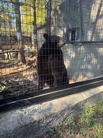 The Texas Zoo photo 5