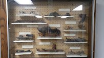 Downers Grove Icearena photo 4
