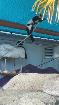 Kid's Zone photo 6