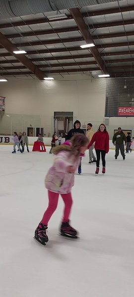 Winding River Skating Center photo 2