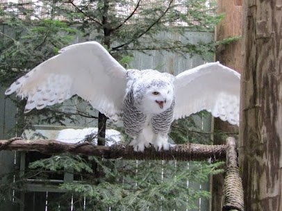 VINS Nature Center photo 3
