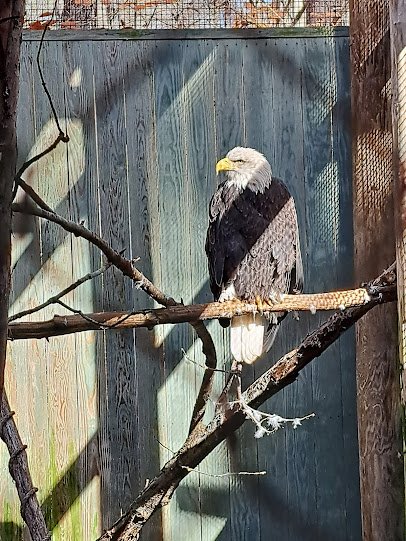 VINS Nature Center photo 4